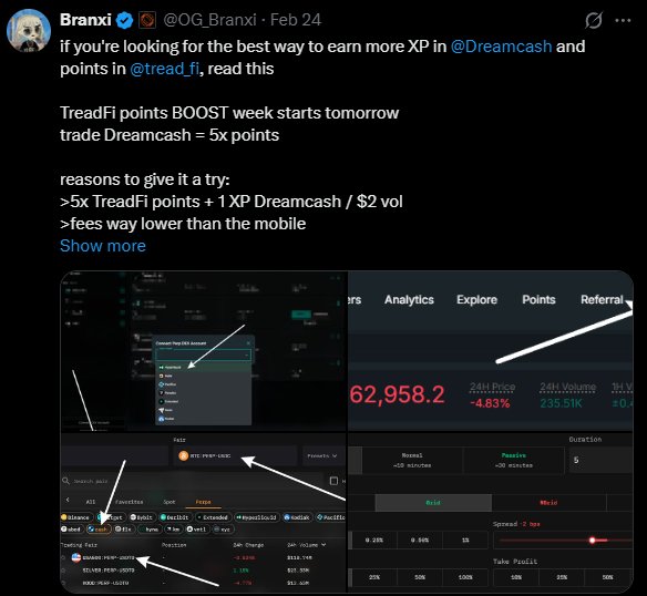 Dreamcash XP and TreadFi points